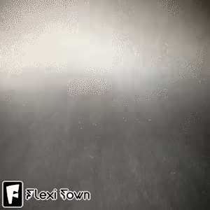 Flexi Print-in-Place Tank Turtle