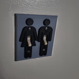His and ... Surprise Hers Light Switch Cover