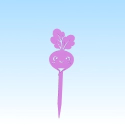 seedling mark radishes / etiquette semis radis
