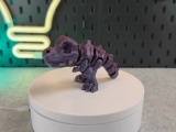 Articulated Skeleton Trex-2