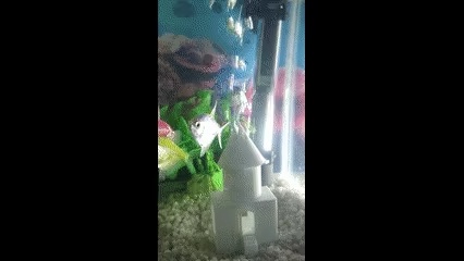 Fishtank hide and aerator-1