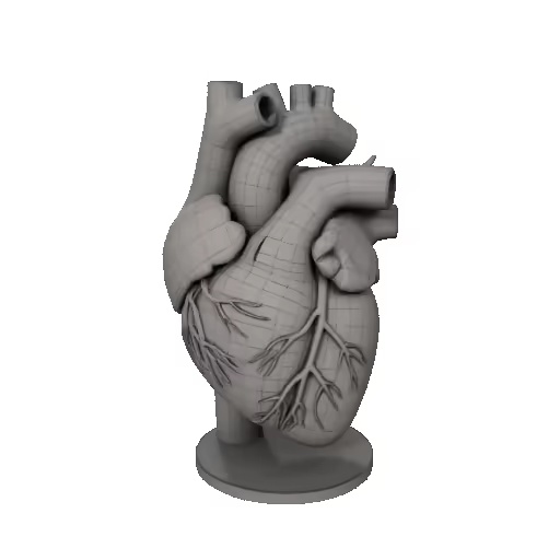 Heart / Herz-1