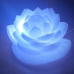 Lotus Lamp