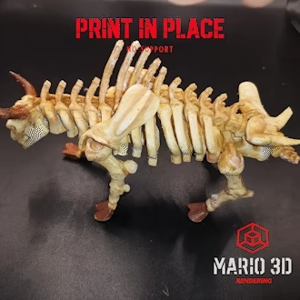 bisonte_skeleton_print__in_place