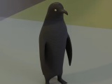 Emperor Penguin-0