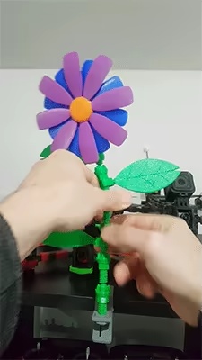 🌸🌸 EverClip Flower💮💮-2