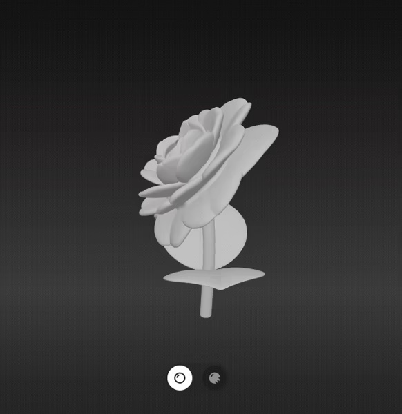Camelia flower-1