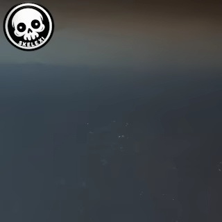 Flexi Skeleton Bulldog-1