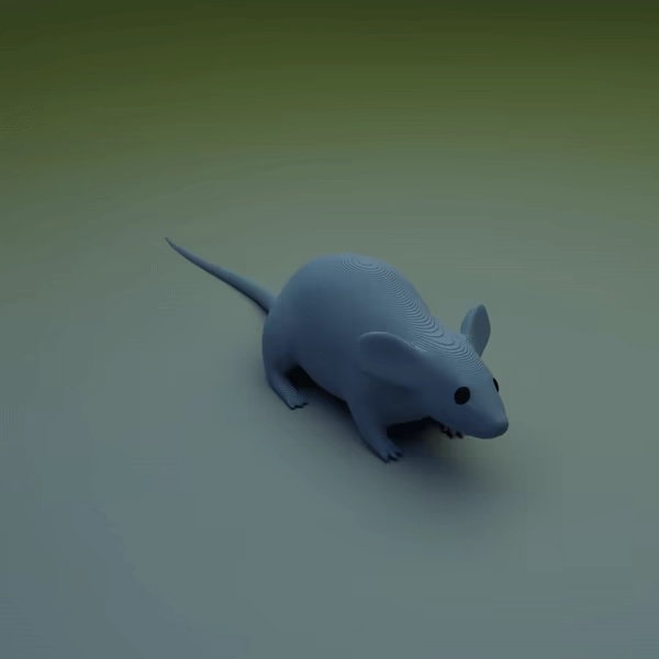 Maus