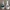 Paashaas Pot – 3D STL-bestand voor Bloempot, Snoepschaal
