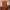 Prensa de Tampa Sunset Sarsaparilla do Fallout — Mini M&M Candy