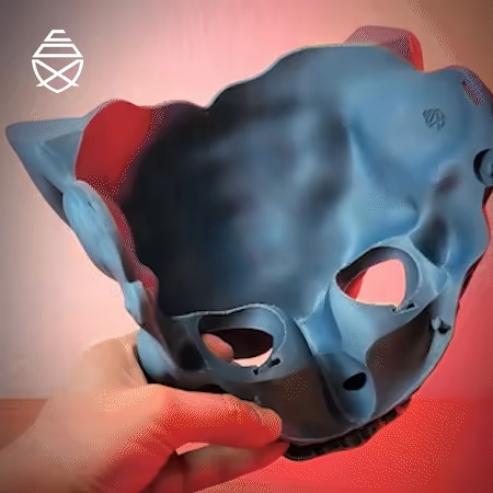 Masque de Chien de Foo-2