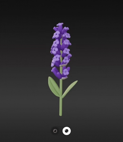 Lavender Flower