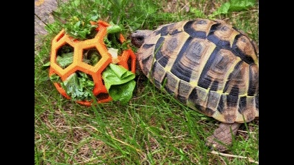 乌龟喂食器环境丰容玩具宠物食盆