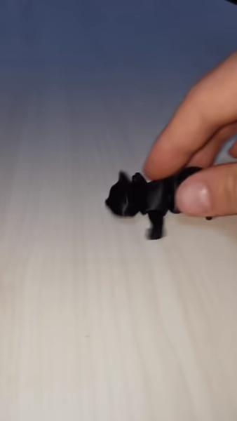 Cat Flexy-1
