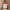 Santa Claus ornament - Christmas