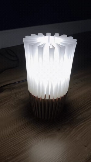 Organic Light 01-1