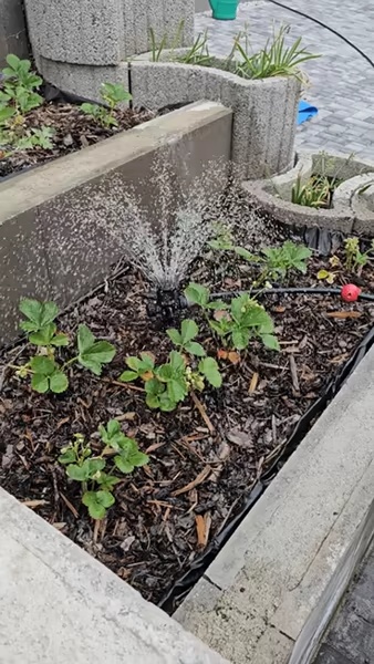 Aspersor de jardim com controle de fluxo-1