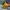 Pikachu Funko Pop Bobblehead (MULTI COLOR VERSION) | STL 3MF