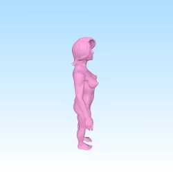 anatomic model 2 girl