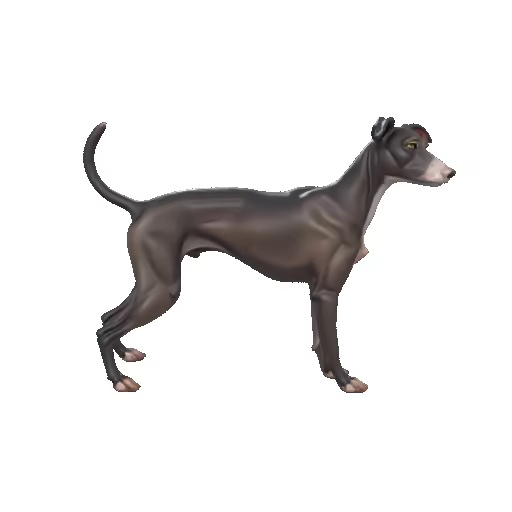 Dog Greyhound