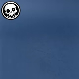 Flexi Skeleton Wolf-6