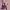 Elysia | Honkai Impact 3rd
