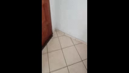 Unresponsive Yoyo-2