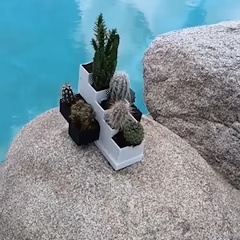 Pot Ladder