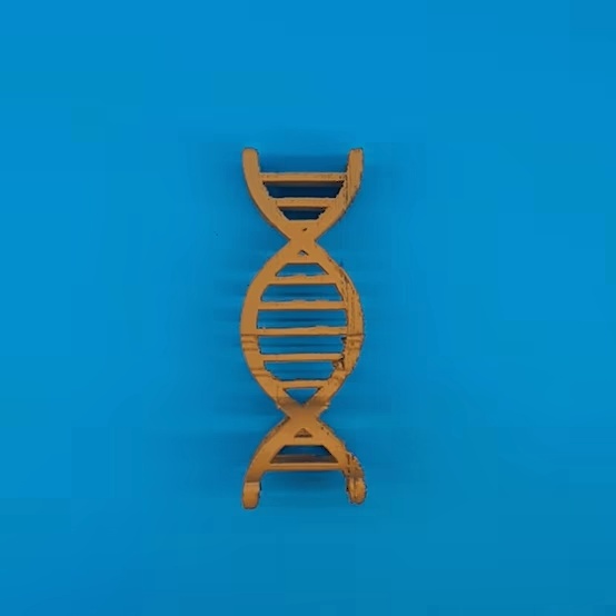 Text Flip: Gene - Key-0