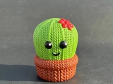 Cactus de punto-0
