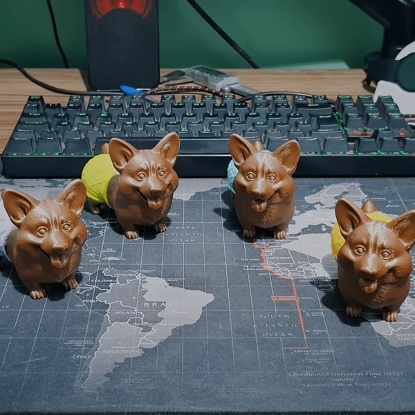 Corgi with shorts! - AKA Big booty Corgi