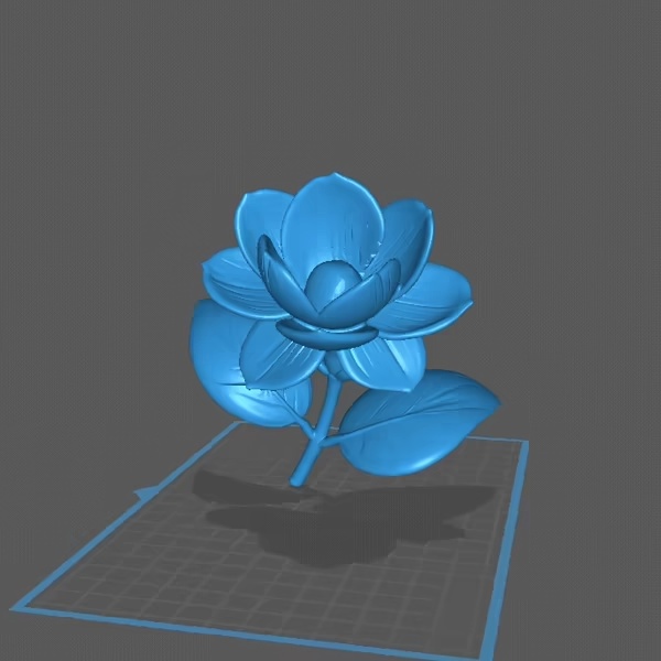 Fleur de jasmin