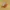 BROWN COCONUT - HIGH DETAIL - 3MF MULTICOLOR