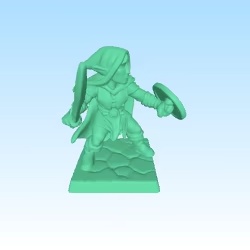 elf warrior  figurine for tabletop like hero quest DnD DSA