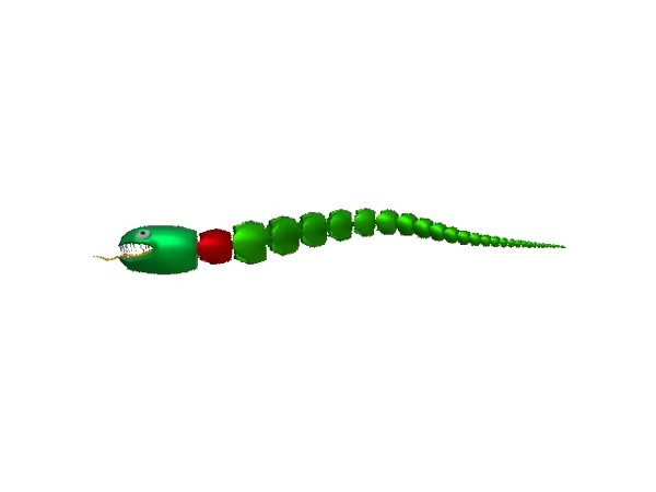snake