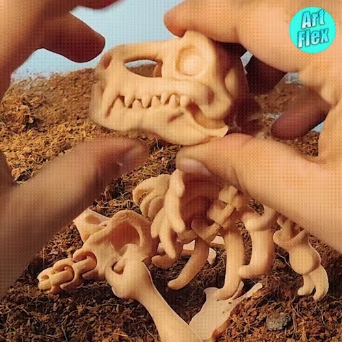 SQUELETTE DE DINO FLEXI-0