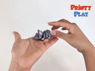 Adorabile Mini Topolino