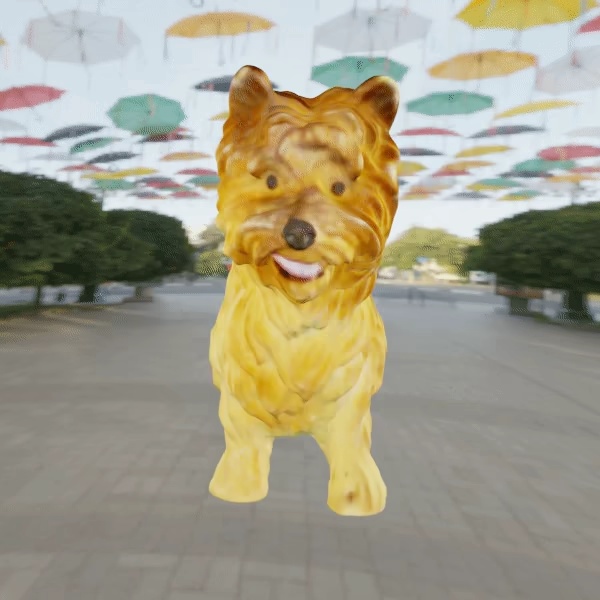 Dog Yorkshire terrier