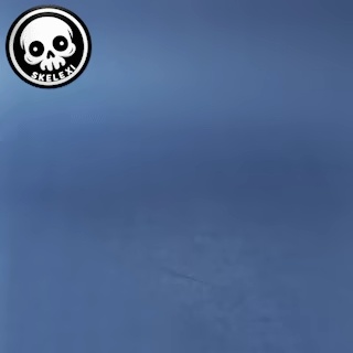 Flexi Skeleton Wolf-1