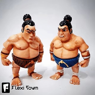 Flexi Print-in-Place Sumo Wrestlers-0