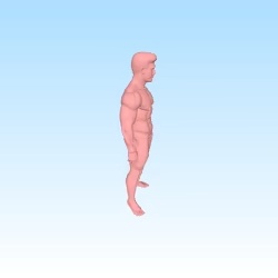 model for anatomic of a man-0