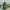 Knitted Christmas Tree (cute)