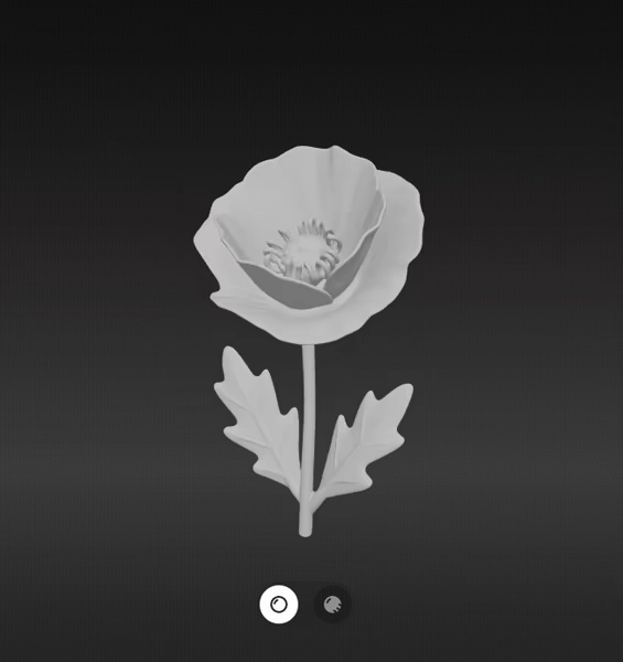 Poppies flower-1