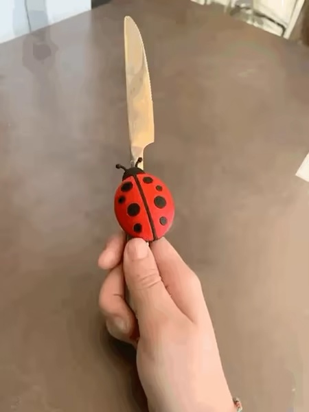 Imán mariquita