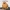 Golden Retriever - Potato Dog Collection