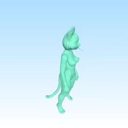 anatomic model cat girl