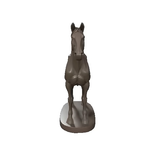 Horse / Pferd-1