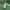 IONシューズ Lazy Full Voronoi