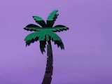Text Flip - Palm🌴-0